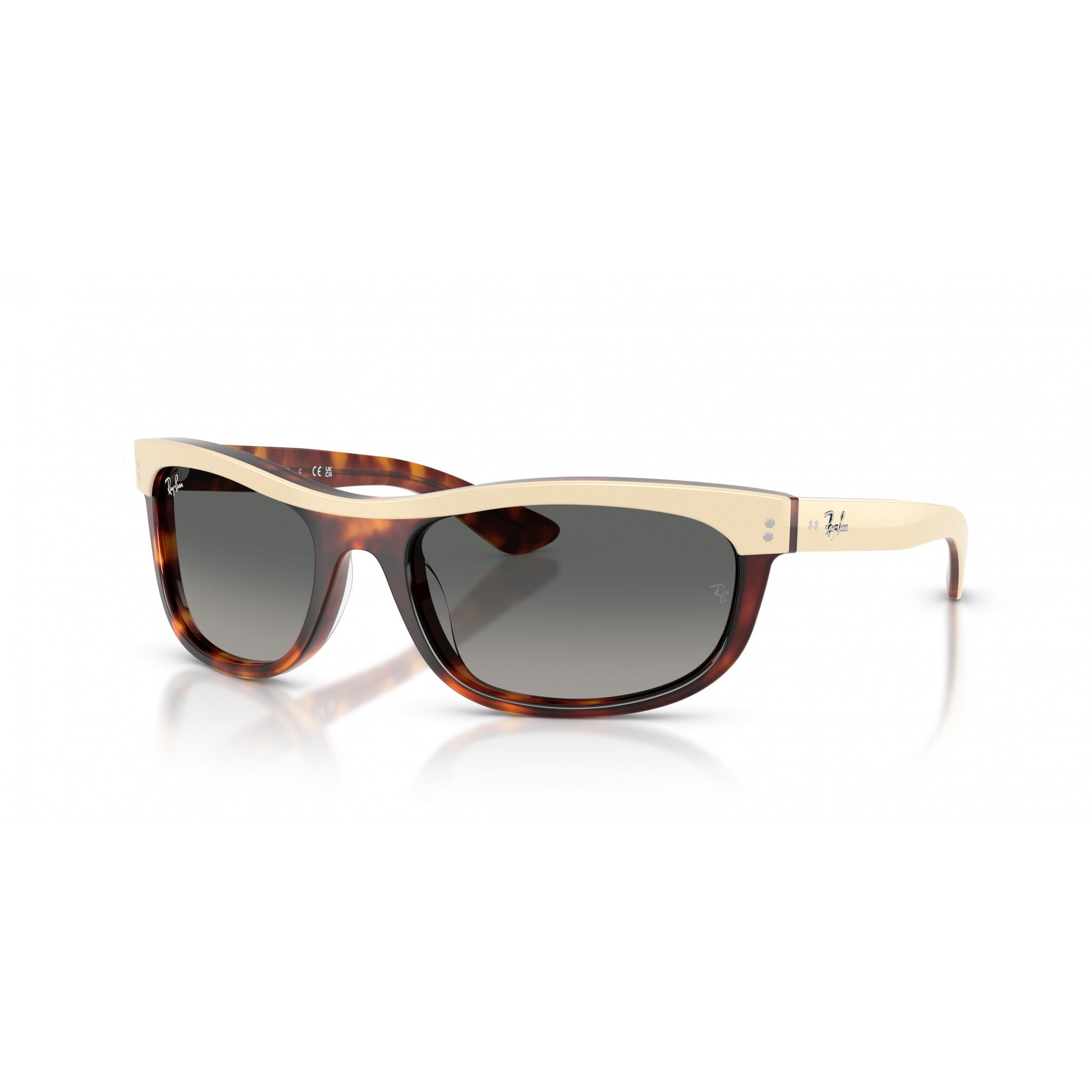 Ray-Ban 0RB2489