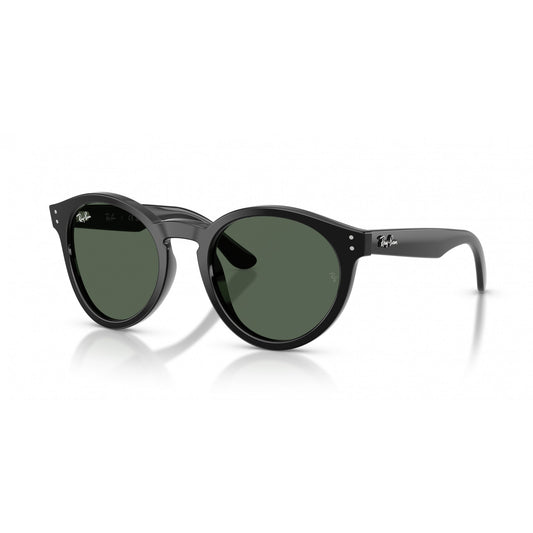 Ray-Ban 0RBR0505S