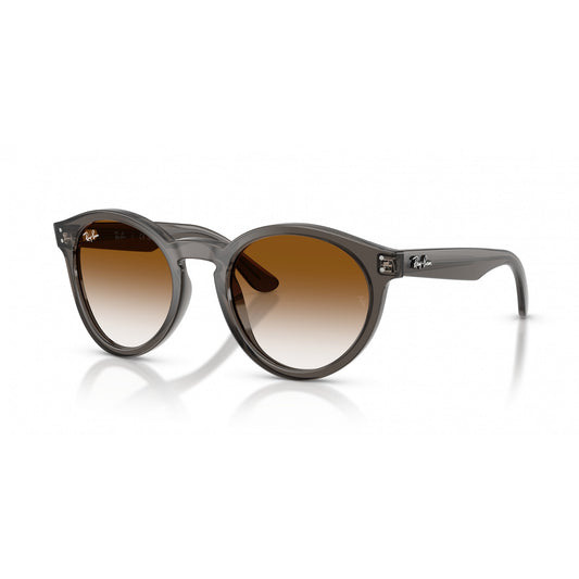 Ray-Ban 0RBR0505S