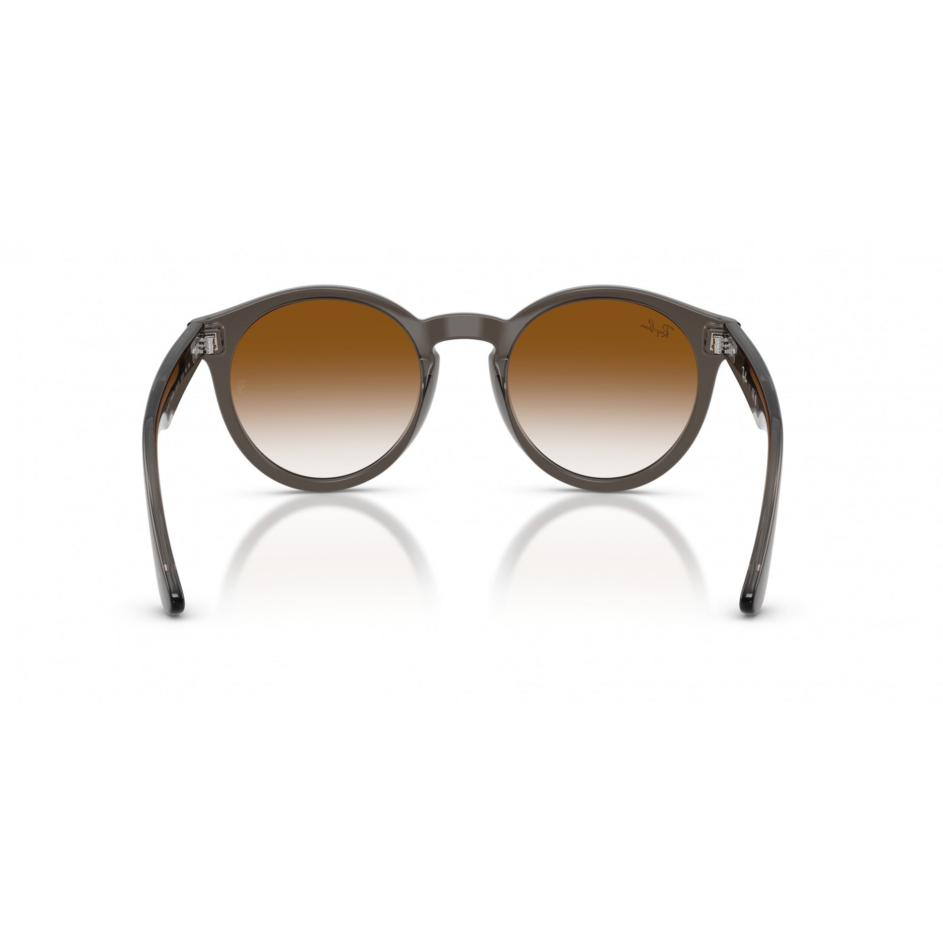 Ray-Ban 0RBR0505S