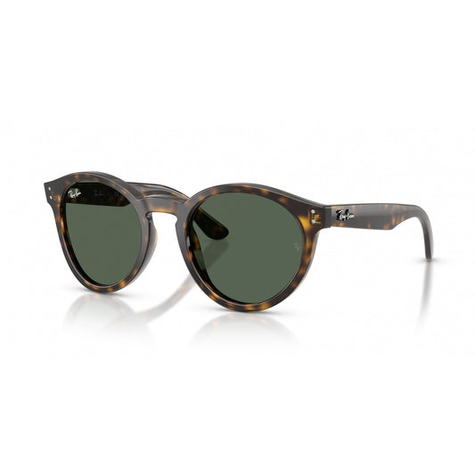 Ray-Ban 0RBR0505S