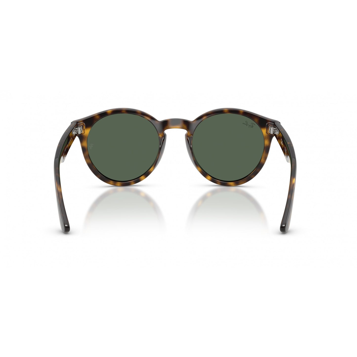 Ray-Ban 0RBR0505S