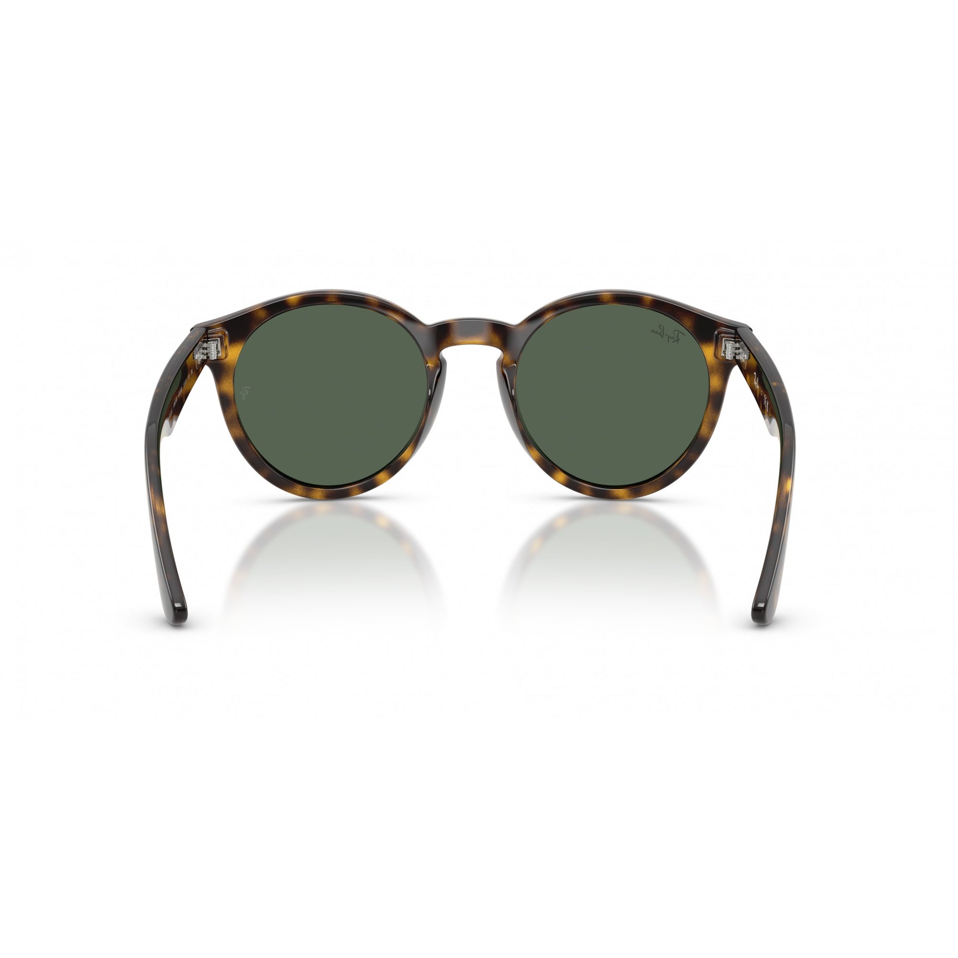 Ray-Ban 0RBR0505S