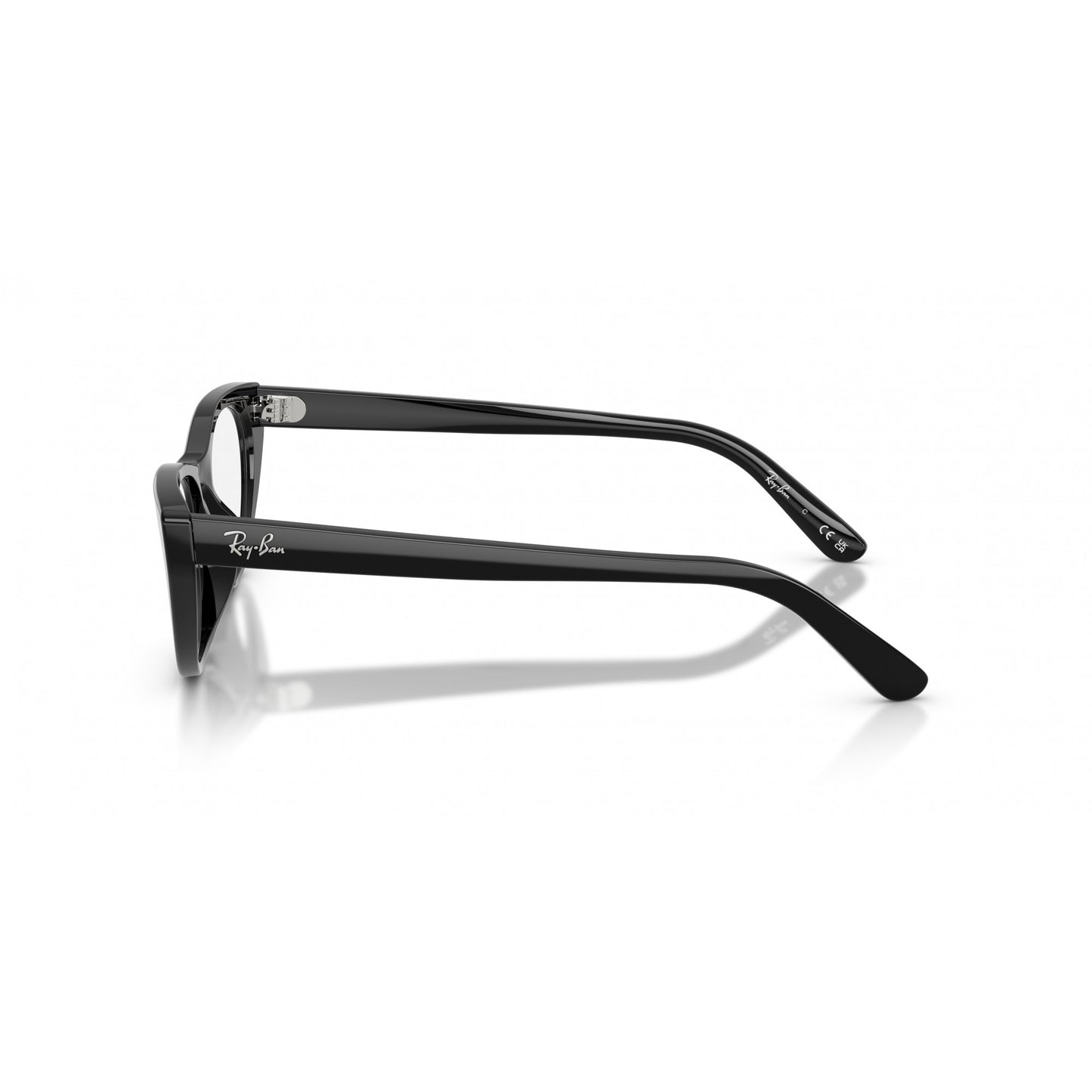 Ray-Ban 0RX5449D
