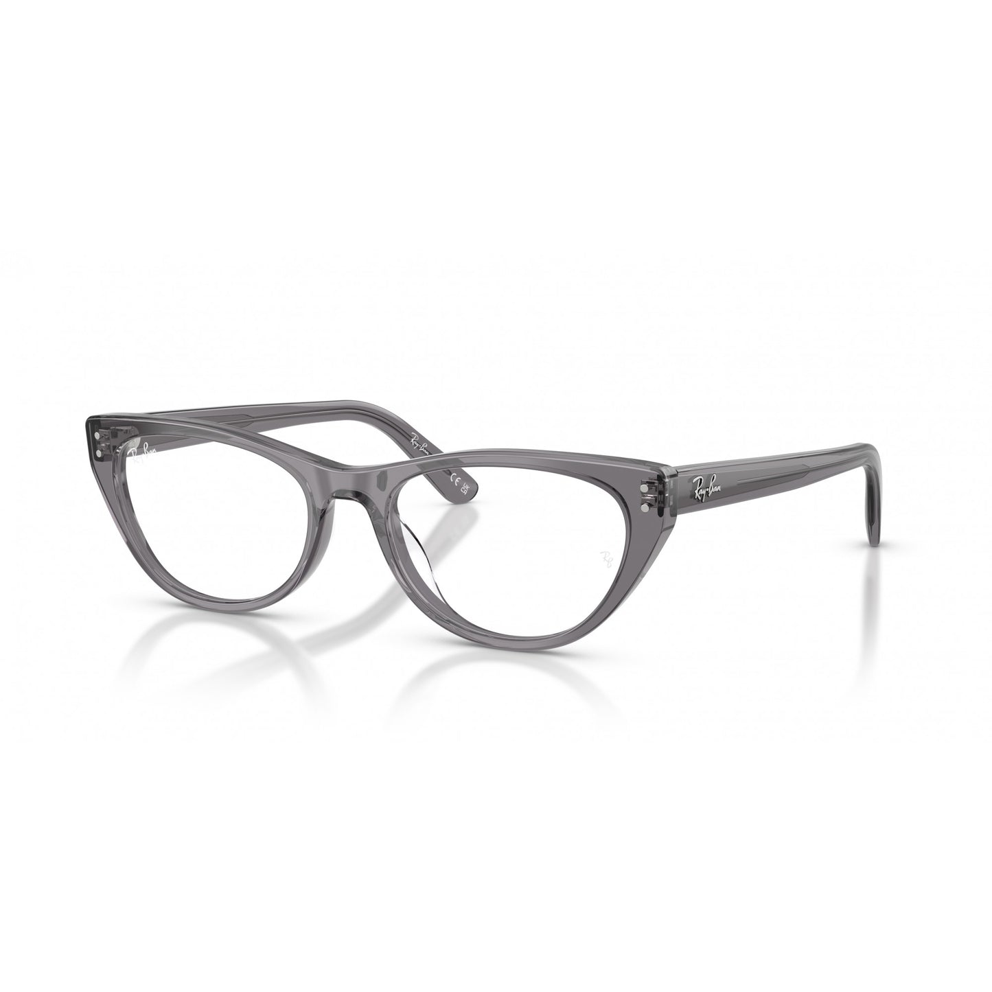 Ray-Ban 0RX5449D