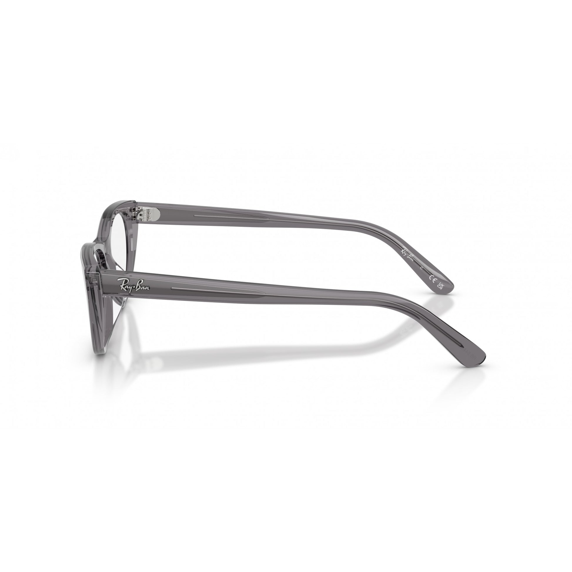 Ray-Ban 0RX5449D
