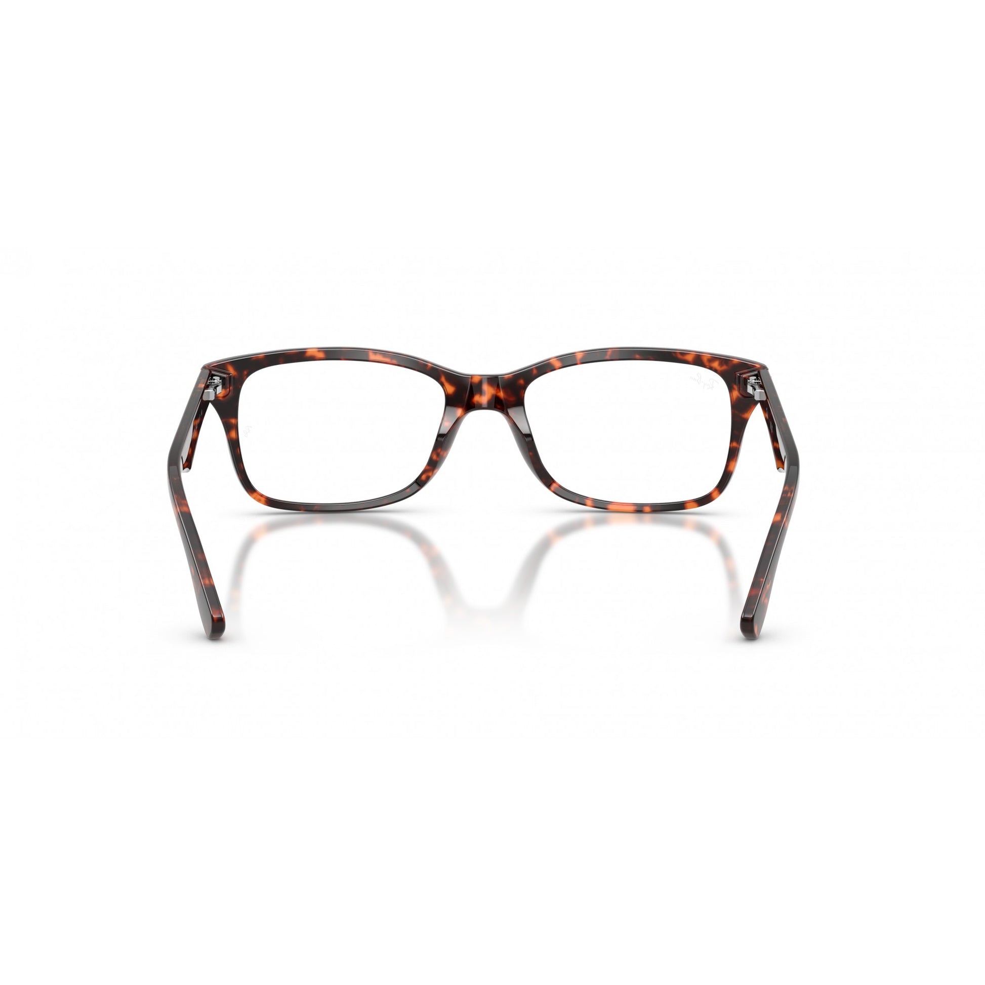 Ray-Ban 0RX5228