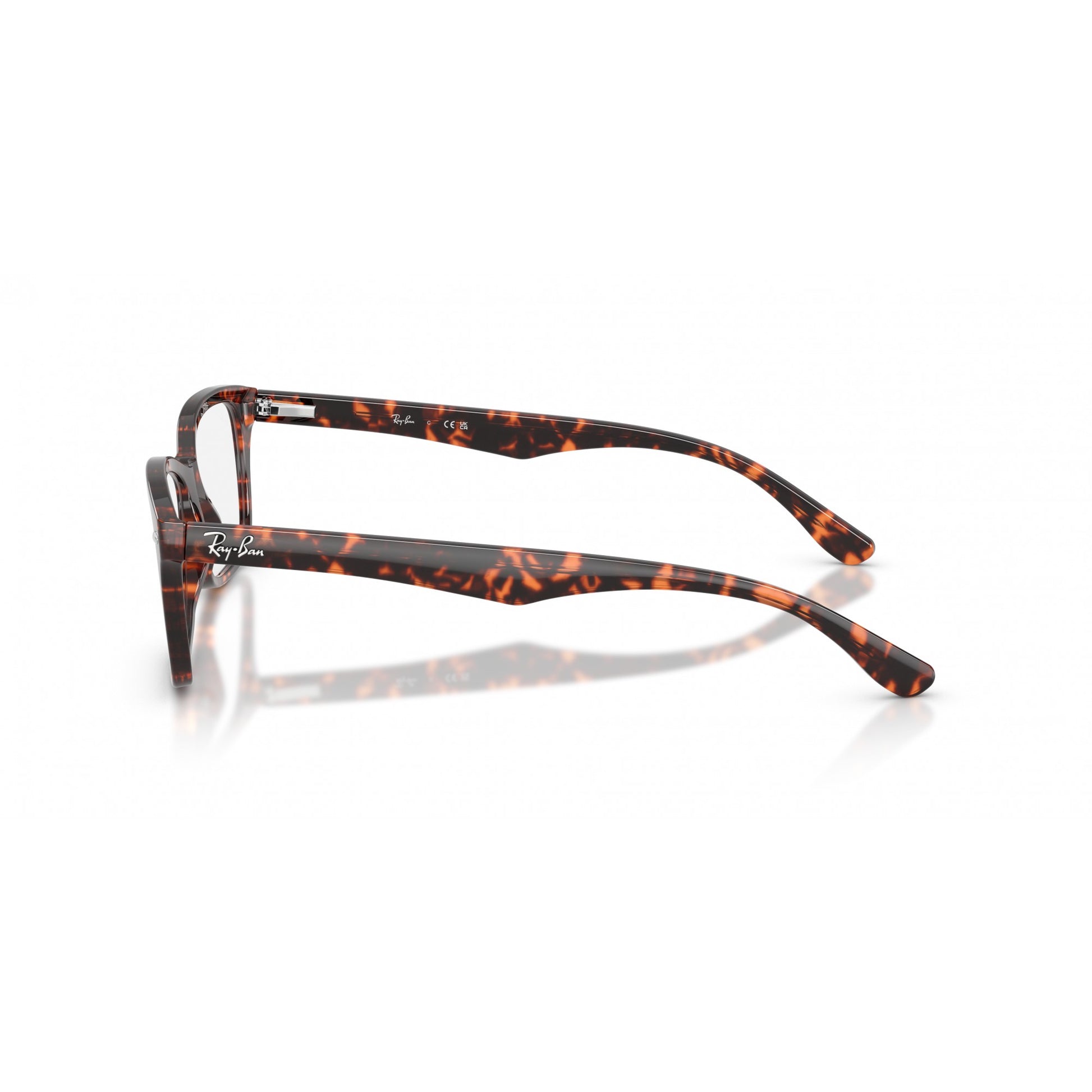 Ray-Ban 0RX5228