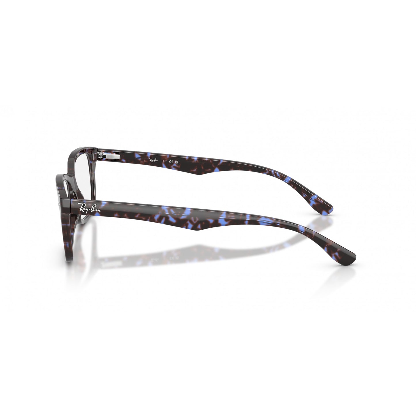 Ray-Ban 0RX5228