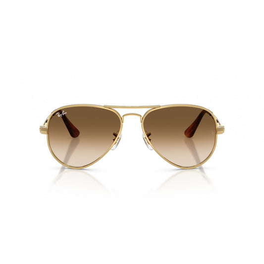 Ray-Ban 0RB3925
