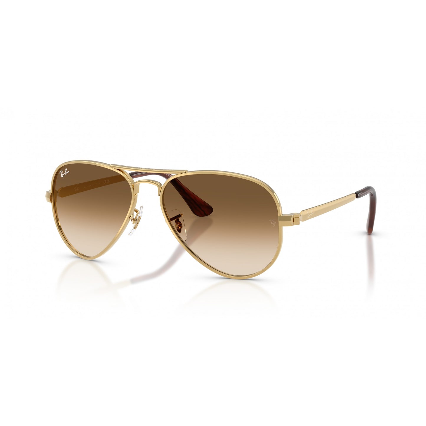 Ray-Ban 0RB3925