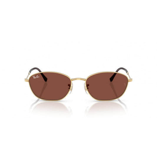 Ray-Ban 0RB3749