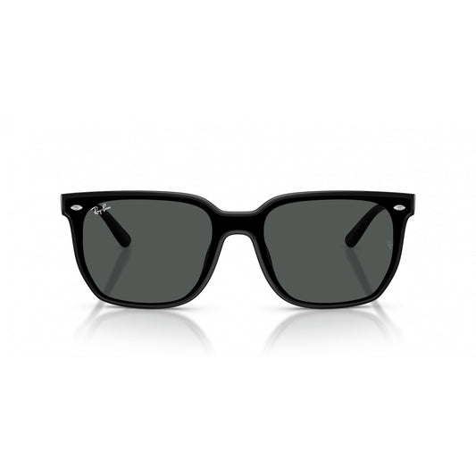 Ray-Ban 0RB4466D