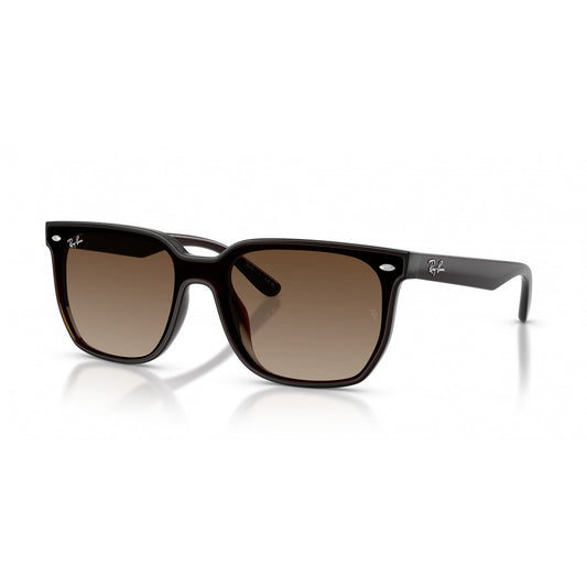 Ray-Ban 0RB4466D