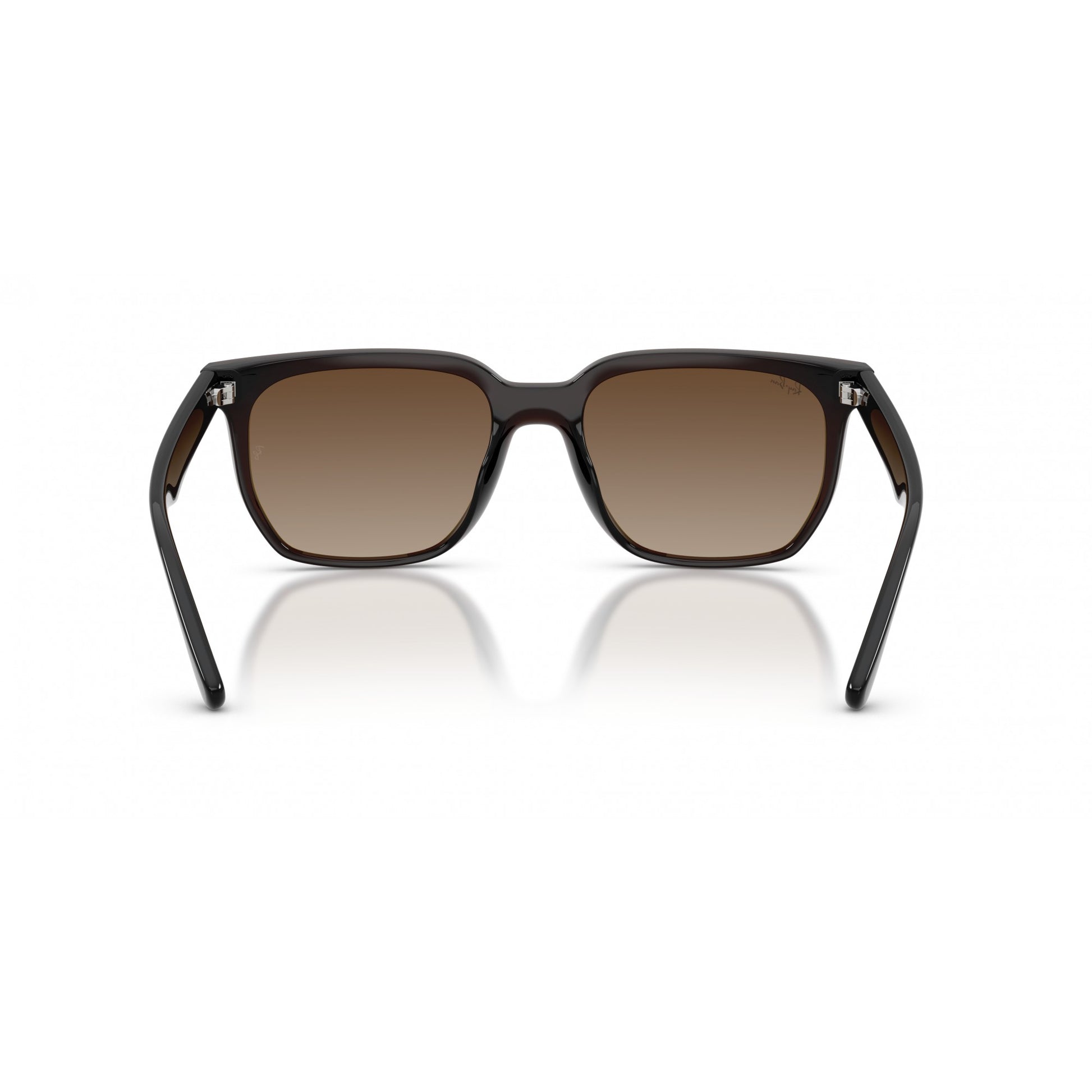 Ray-Ban 0RB4466D