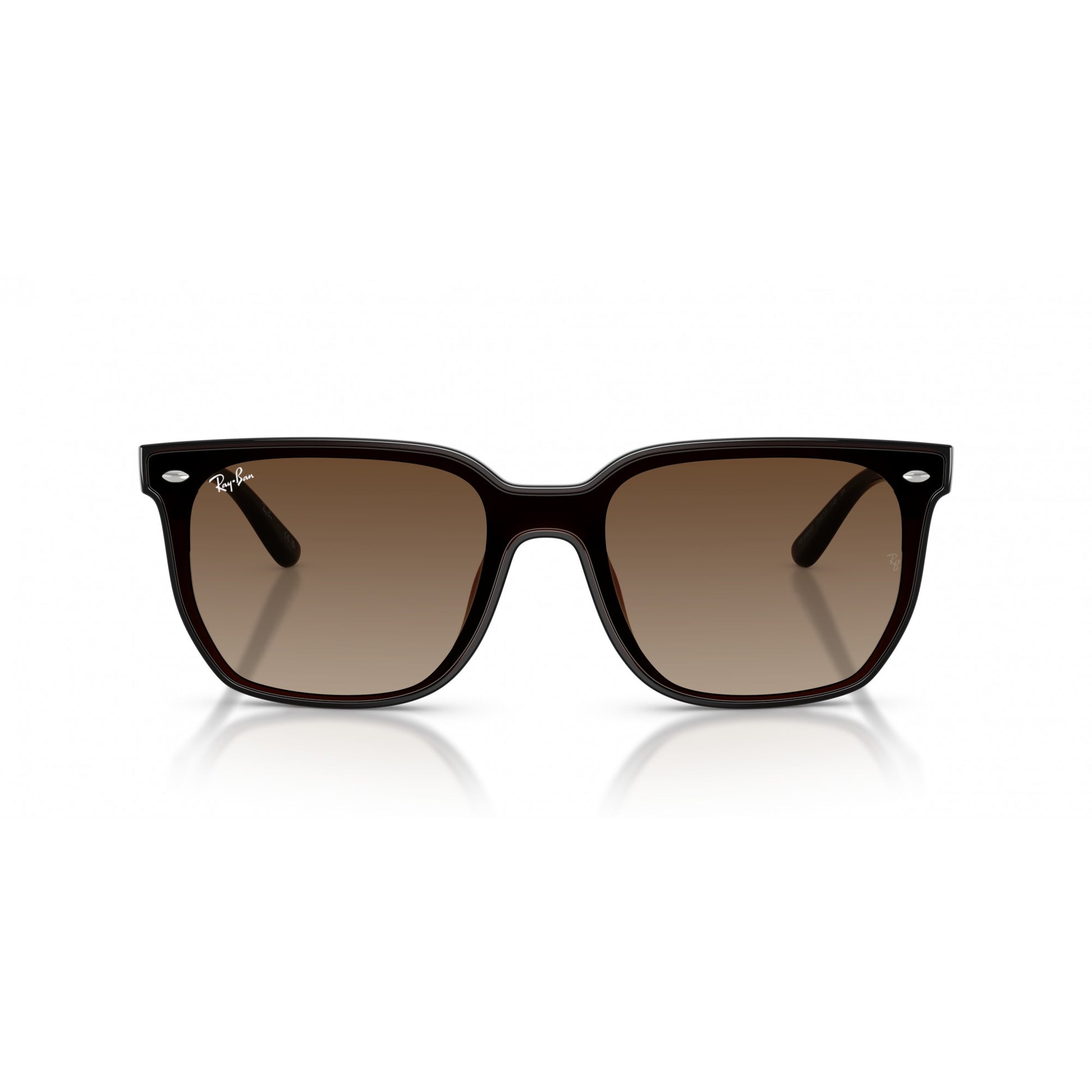 Ray-Ban 0RB4466D