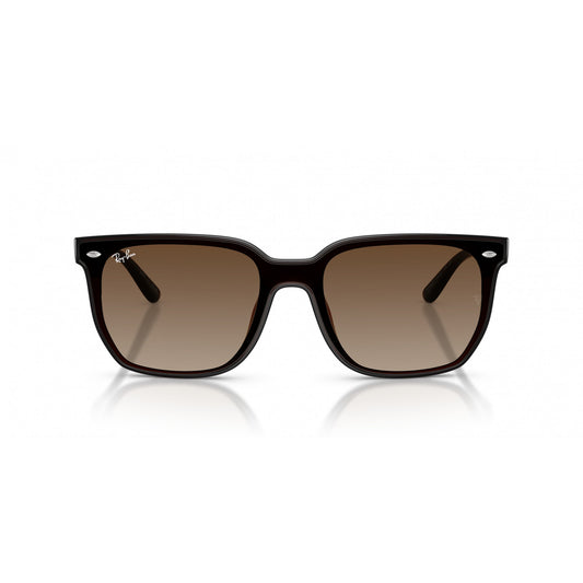 Ray-Ban 0RB4466D
