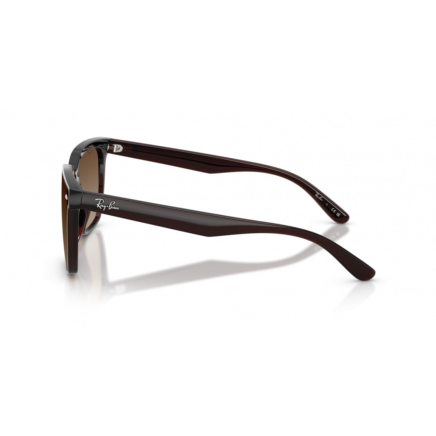 Ray-Ban 0RB4466D