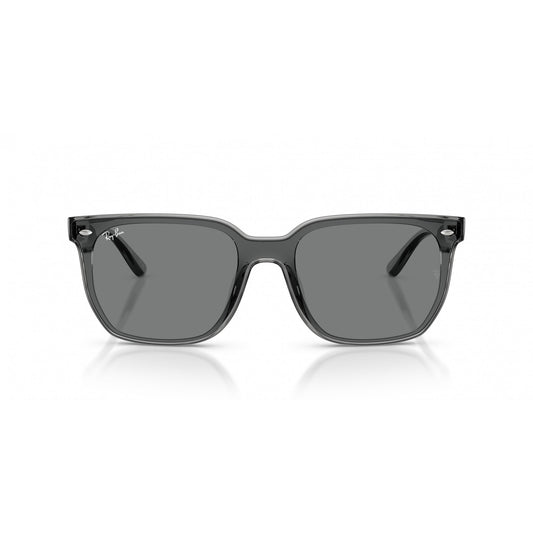 Ray-Ban 0RB4466D