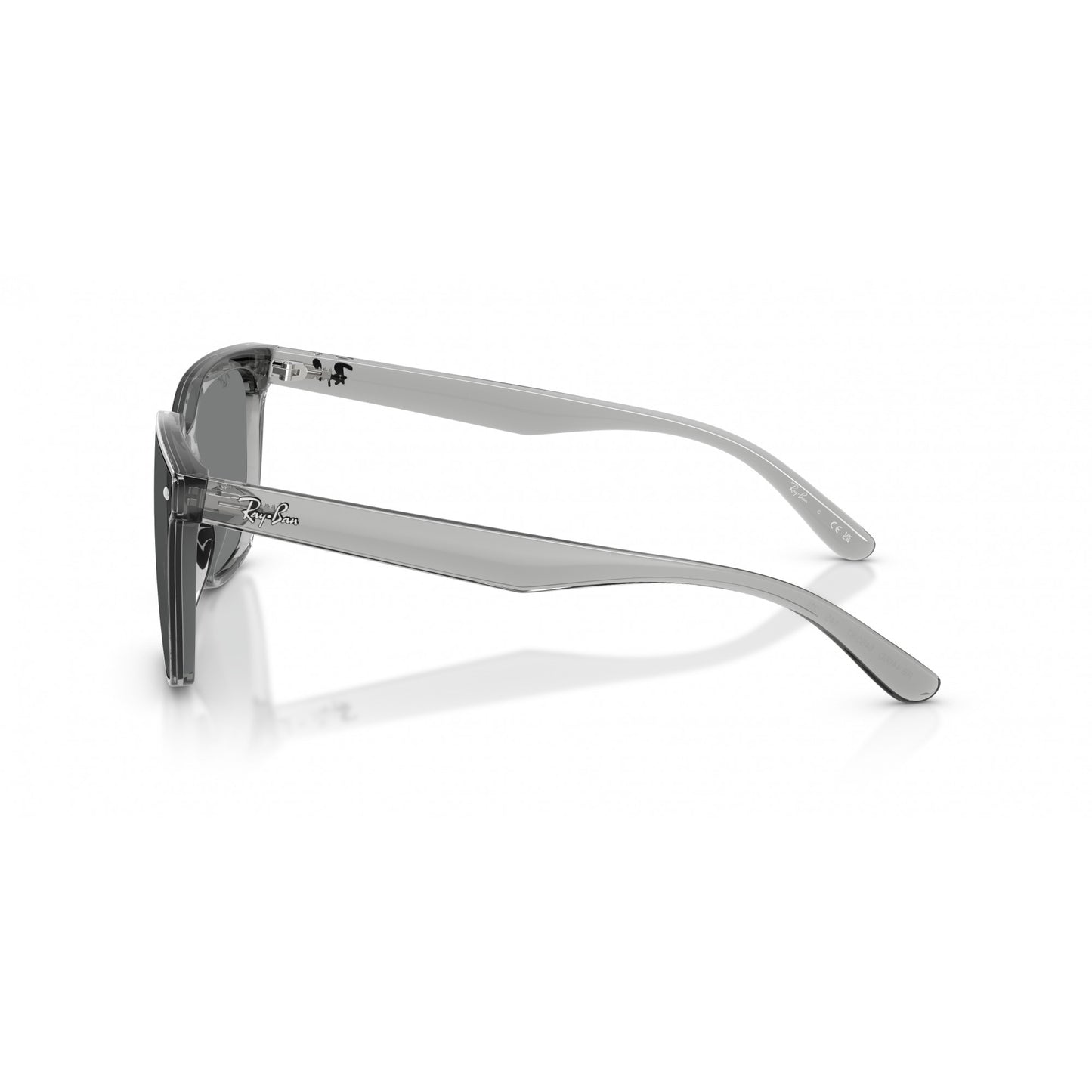 Ray-Ban 0RB4466D