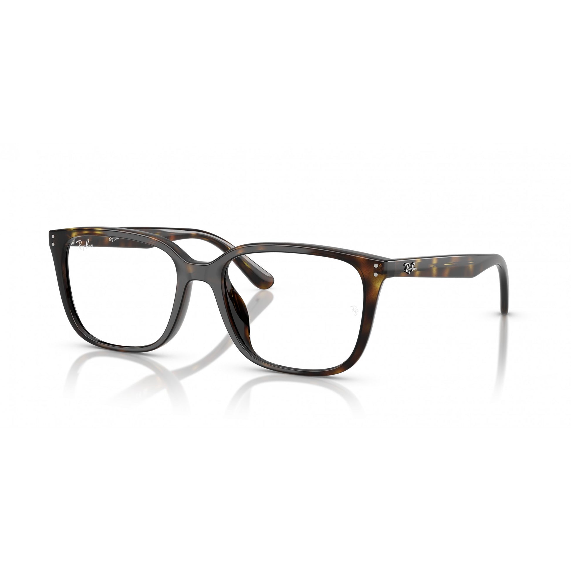 Ray-Ban 0RX7248D