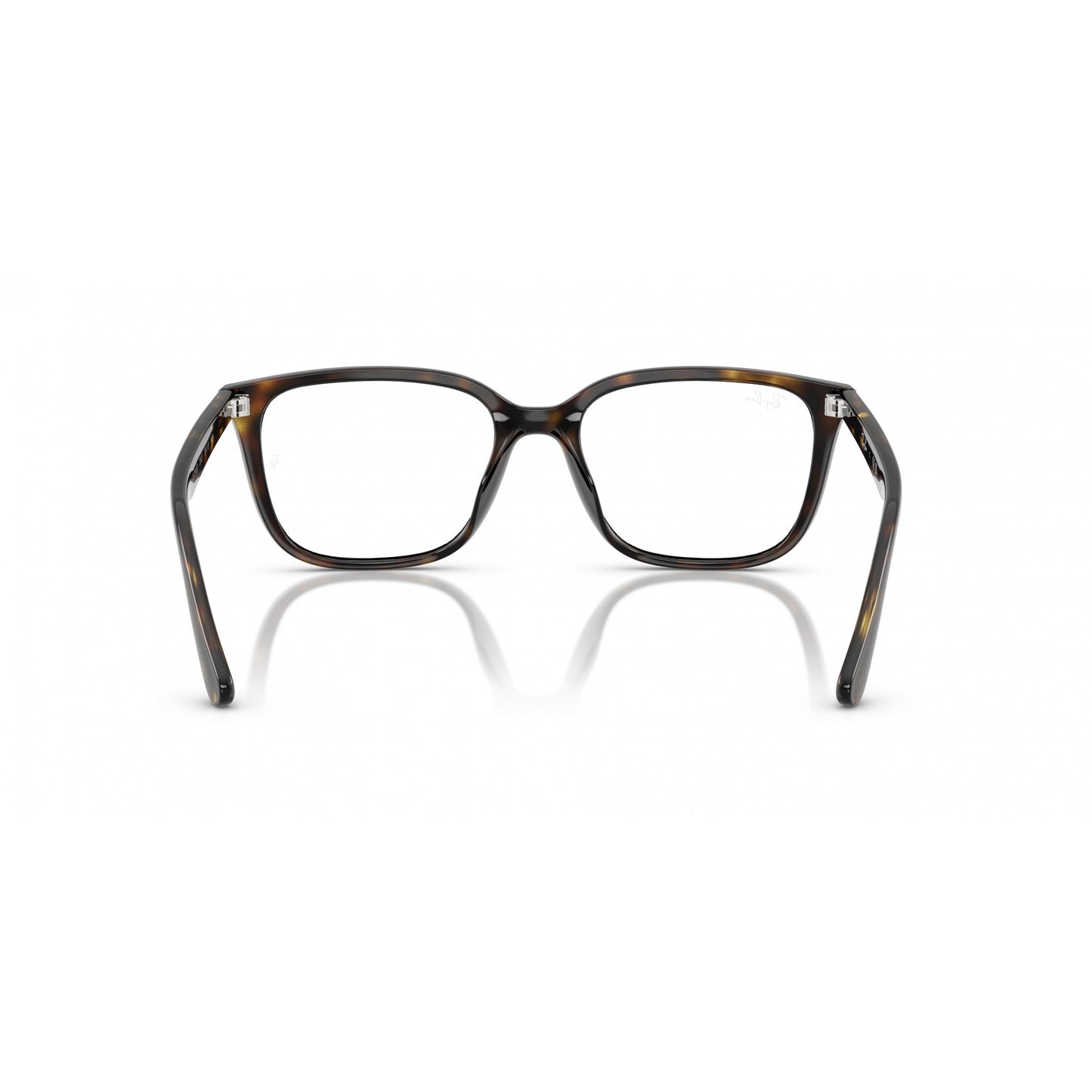 Ray-Ban 0RX7248D