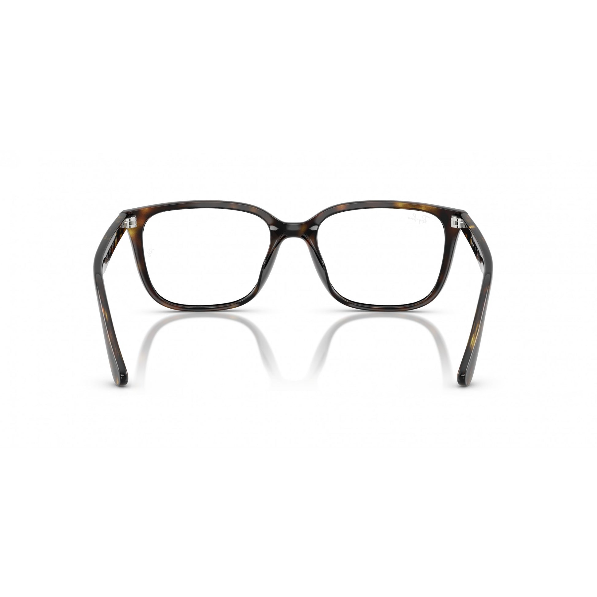 Ray-Ban 0RX7248D