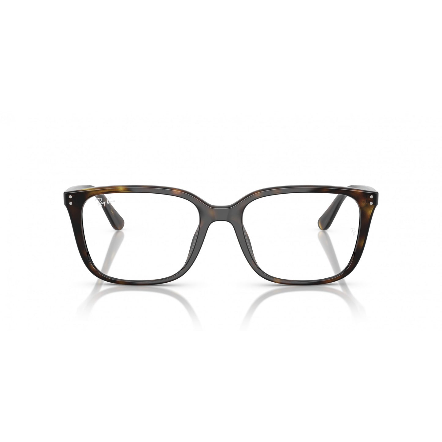 Ray-Ban 0RX7248D
