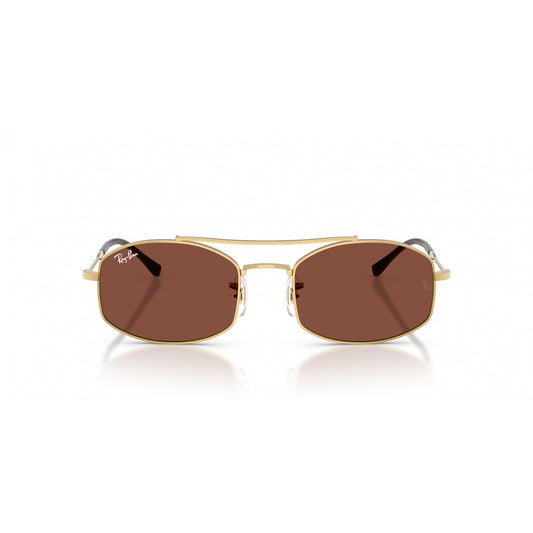 Ray-Ban 0RB3719
