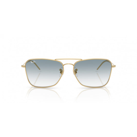 Ray-Ban 0RBR0102S