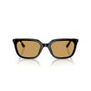 Ray-Ban 0RB4439D