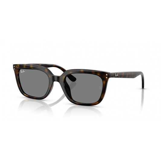 Ray-Ban 0RB4439D