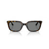 Ray-Ban 0RB4439D