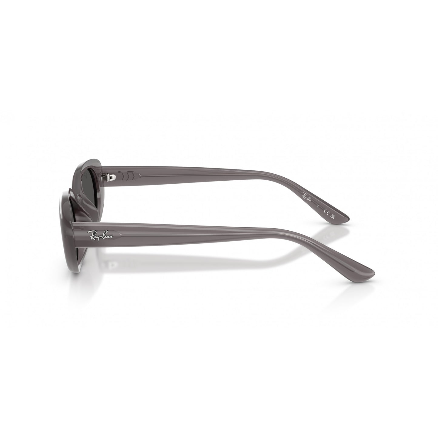Ray-Ban 0RB4441D