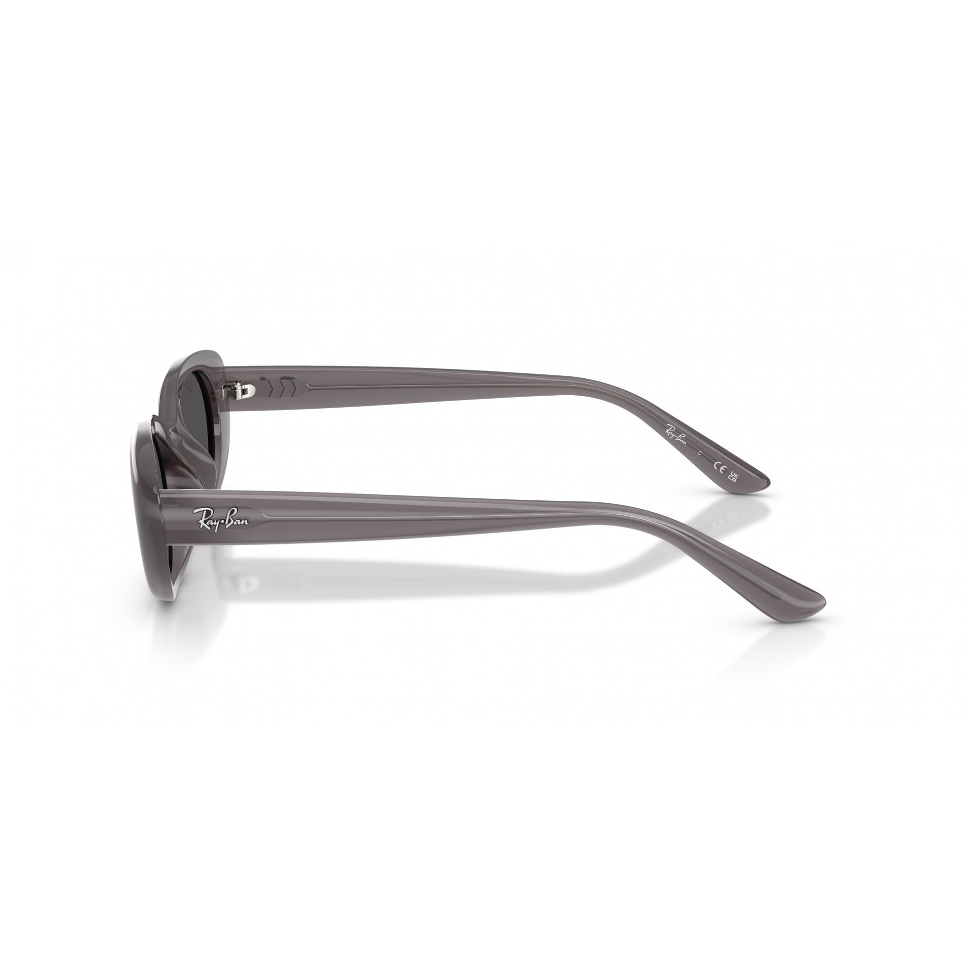Ray-Ban 0RB4441D