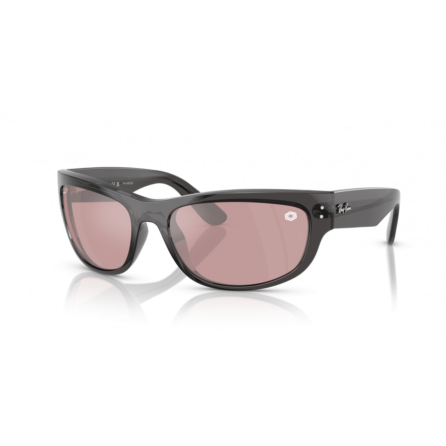 Ray-Ban 0RB2289