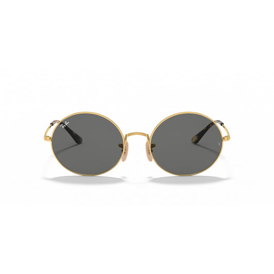 Ray-Ban 0RB1970