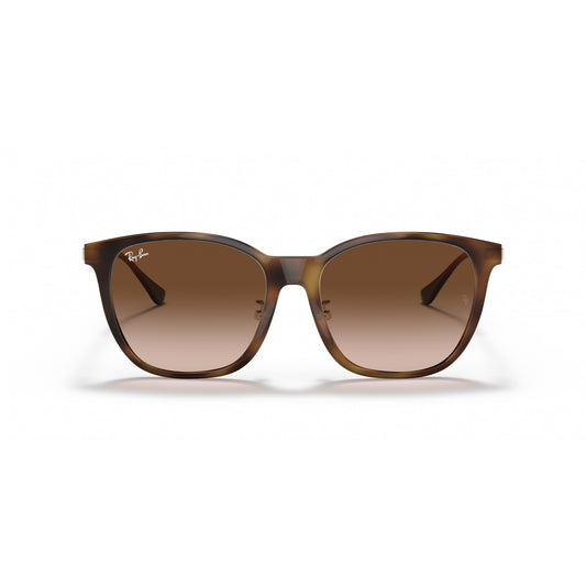 Ray-Ban 0RB4333D