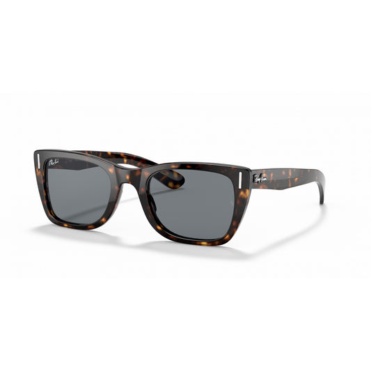 Ray-Ban 0RB2248