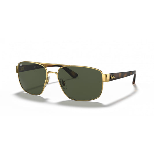 Ray-Ban 0RB3663