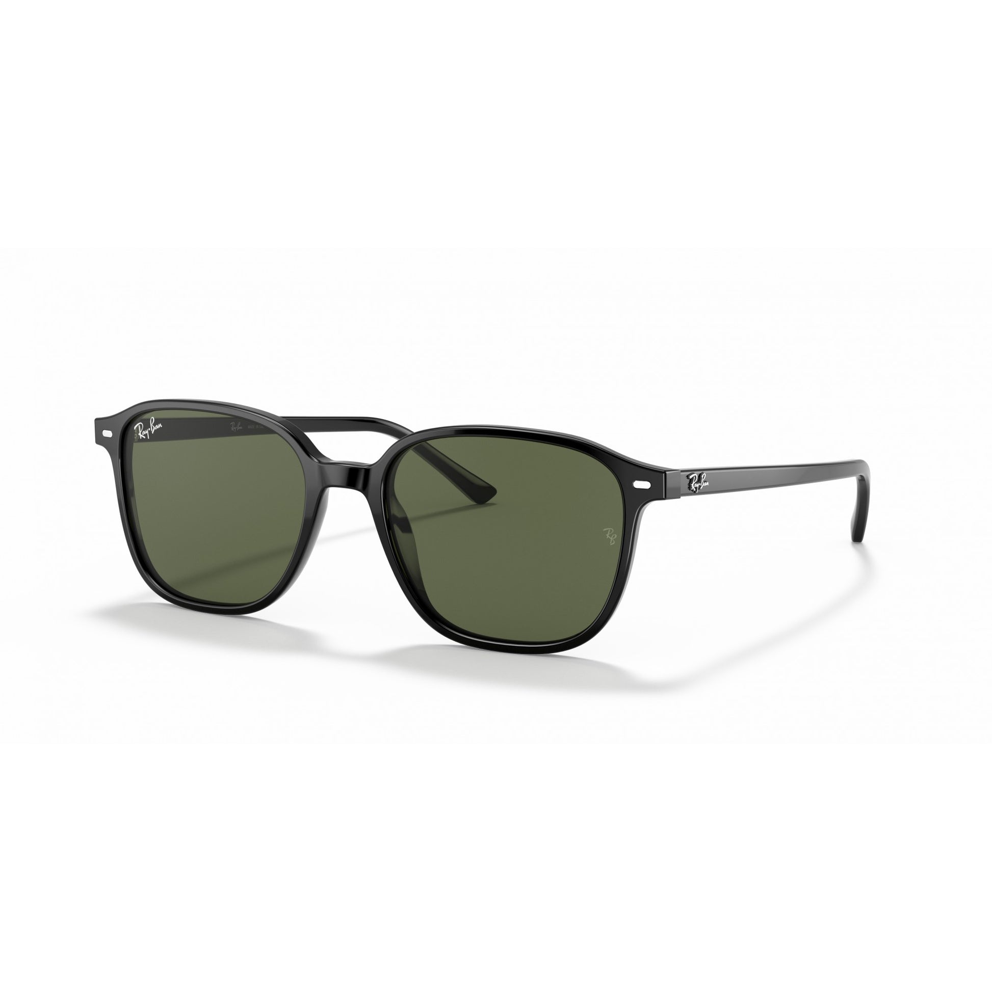 Ray-Ban 0RB2193