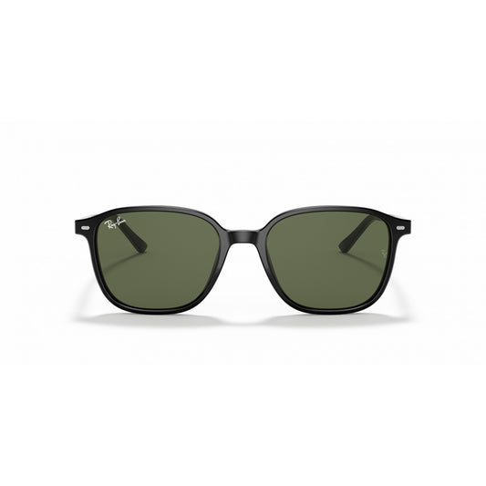 Ray-Ban 0RB2193