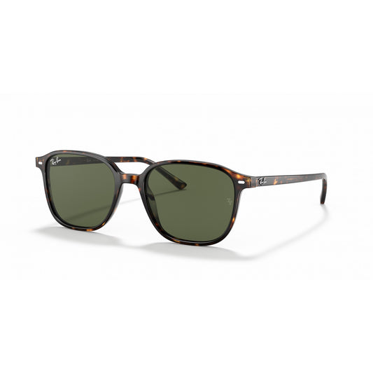 Ray-Ban 0RB2193