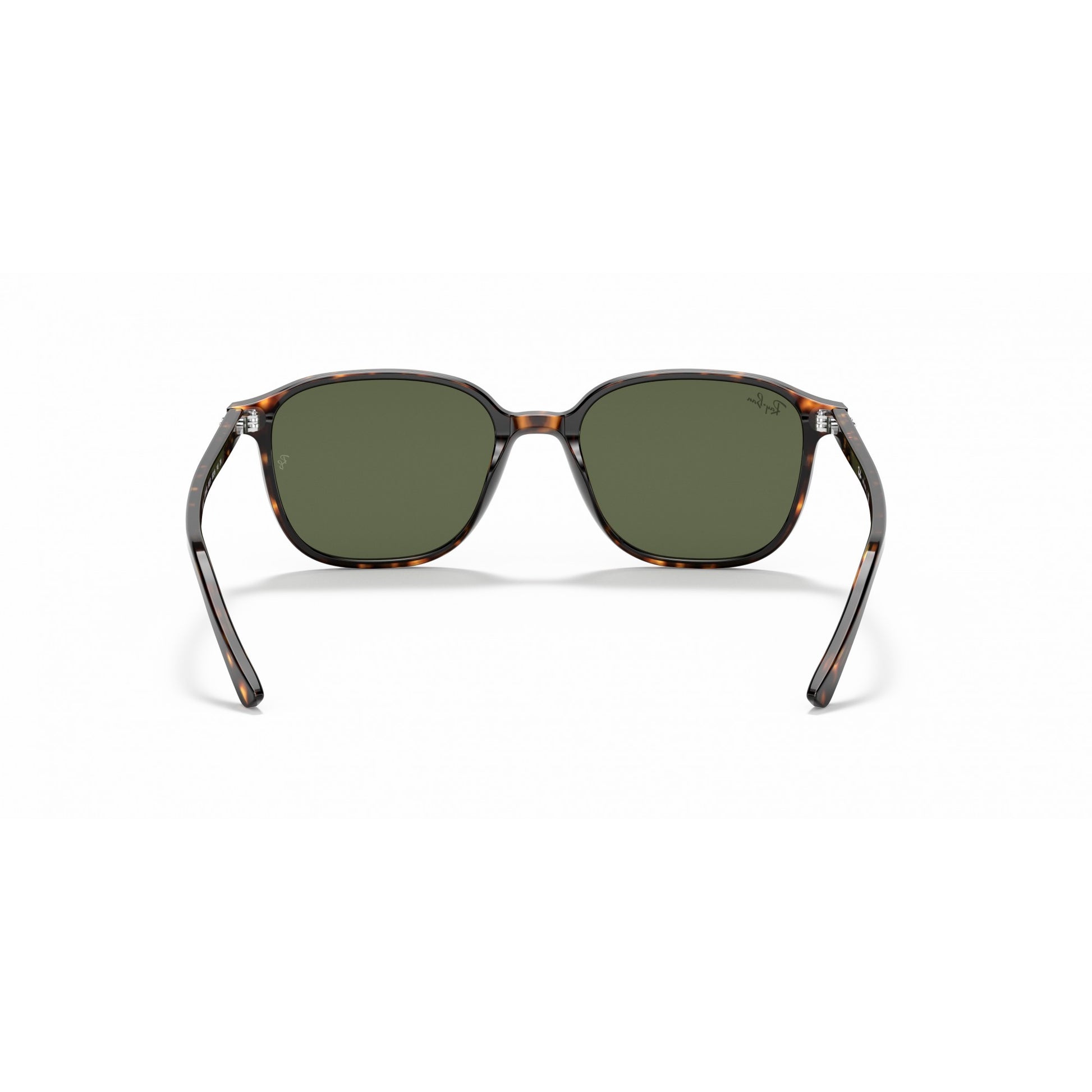 Ray-Ban 0RB2193