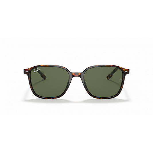 Ray-Ban 0RB2193