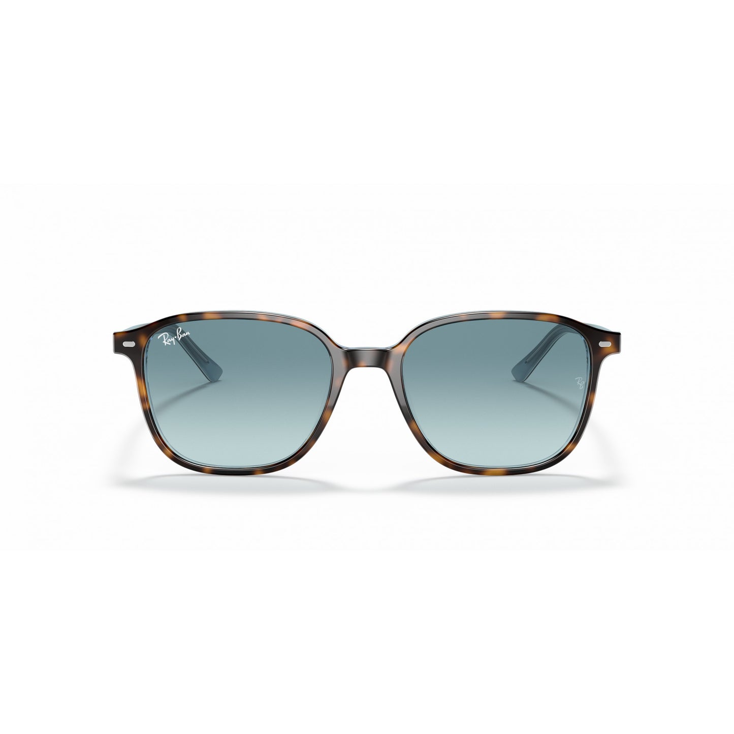Ray-Ban 0RB2193