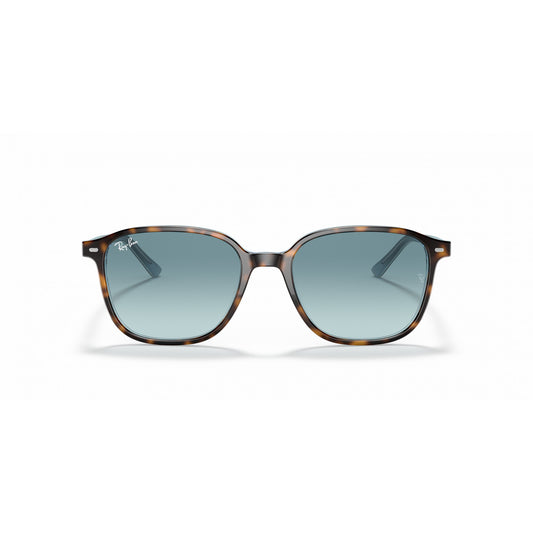 Ray-Ban 0RB2193