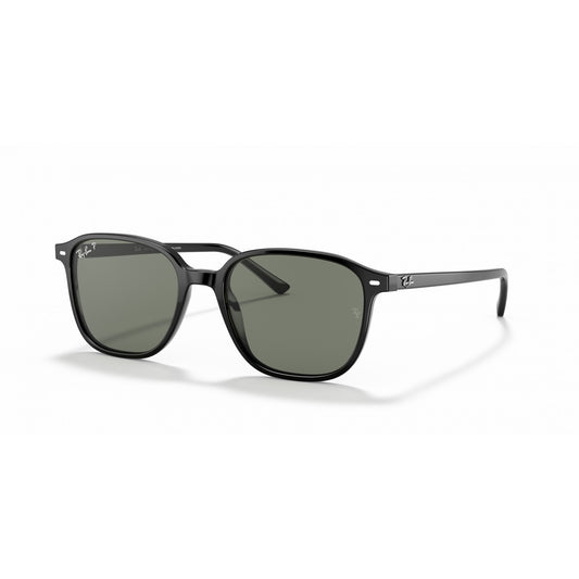 Ray-Ban 0RB2193