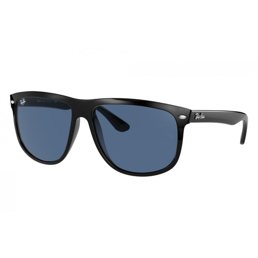 Ray-Ban 0RB4147