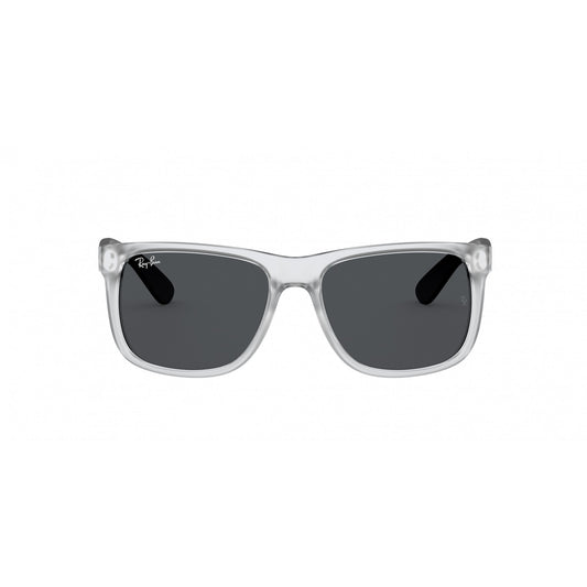 Ray-Ban 0RB4165